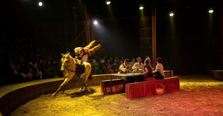 Travail équestre de haut niveau, cirque, musique, danse... ©Galorbe Photographie - Sellor