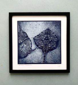 "Raie mouchetée", cyanotype de l'Atelier Kraft ©DR
