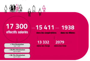 Répartition des salariés Scop et Scic de l'Ouest (Bretagne, Normandie et Loire-Atlantique)©UR Scoc et Scic de l'Ouest