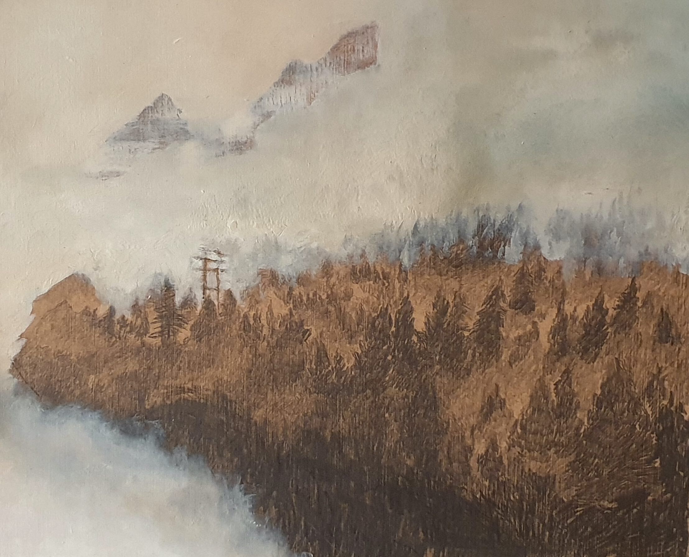 Estelle Aguelon : Montagne 2, effets de brume dans les sapins
