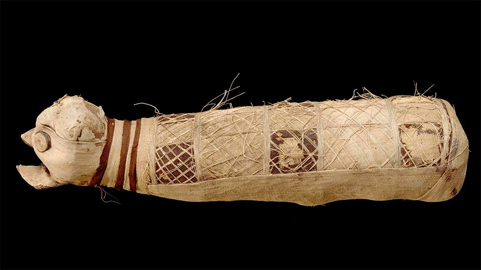 Momie de chat, 722 à 30 av. J.C, Basse époque ptolémaïque, dépôt du musée du Louvre, 1923