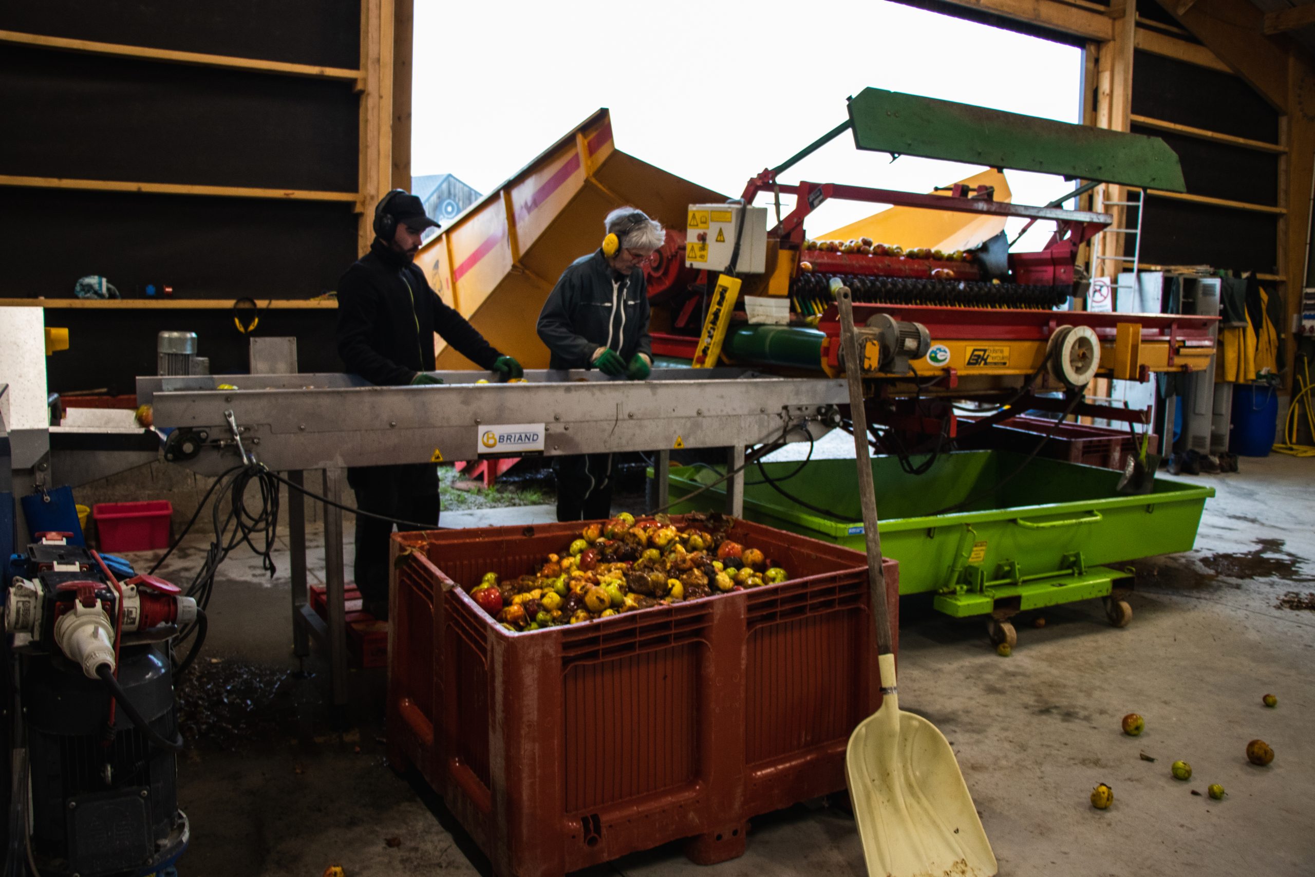 Le cidre breton dispose de différentes appellations et labels de qualité
