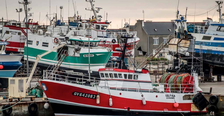 Le groupe Océalliance, installé à Lorient (56), vient de racheter la société Pinteaux-Renet implantée dans le Cotentin (50)