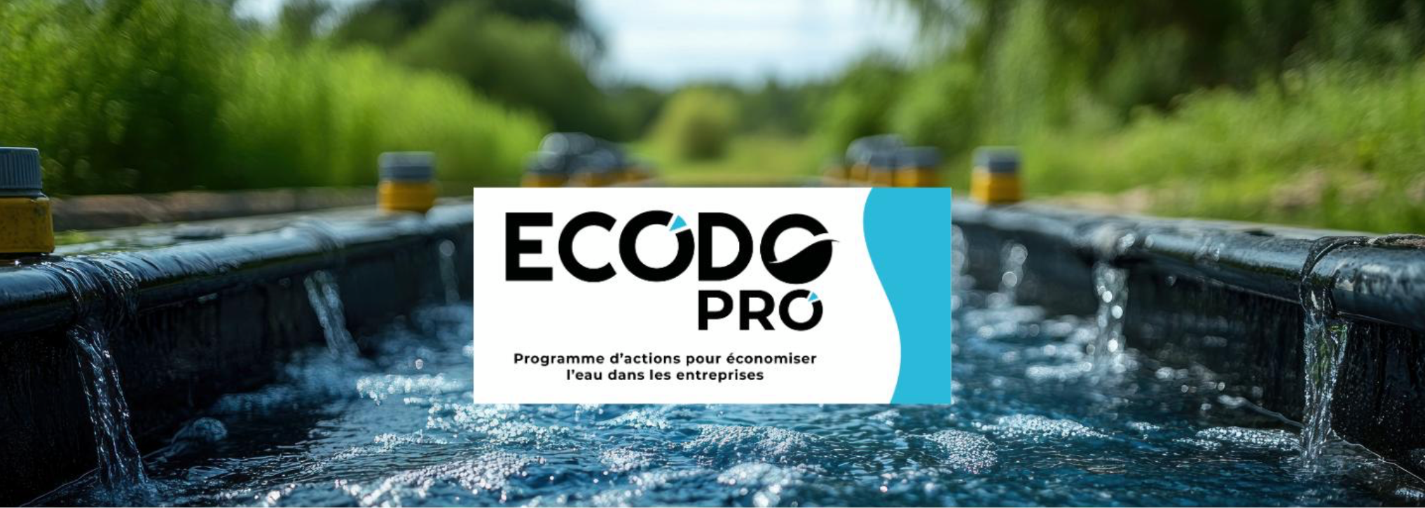 En 2025, Ecodo change de nom et devient Ecodo Pro.
