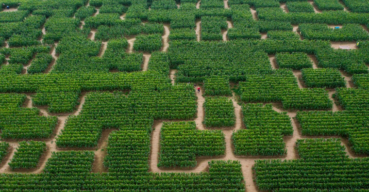 Les parcs de Pop Corn Labyrinthe sont ouverts jusqu'au 31 août 2025.
