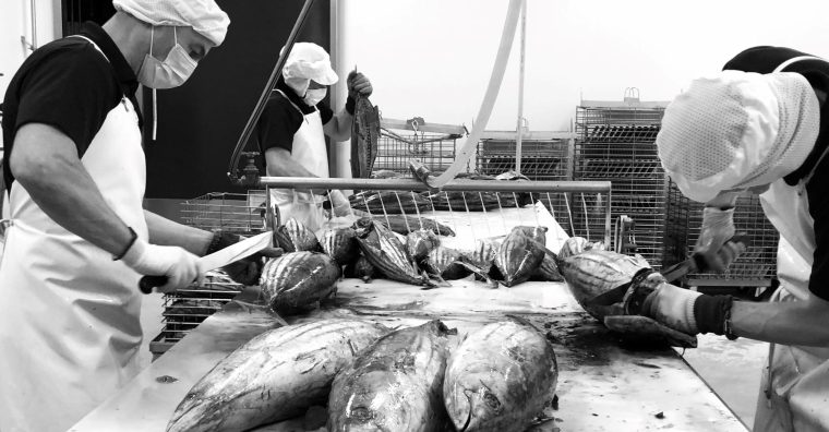 Illustration de l'article DOSSIER. Comment le katsuobushi japonais s’ancre dans l’économie bretonne