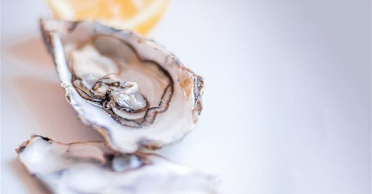 Illustration de l'article Grand Banc : des huîtres de terroir haut de gamme à Plouguerneau