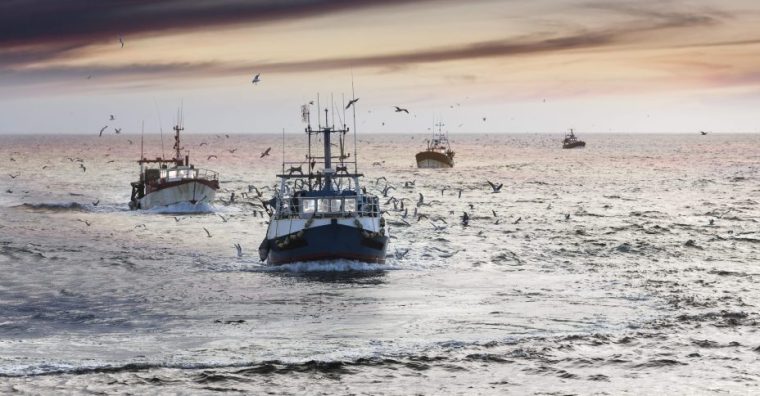 Illustration de l'article Itechmer, le salon international de la pêche, fête ses 30 ans à Lorient