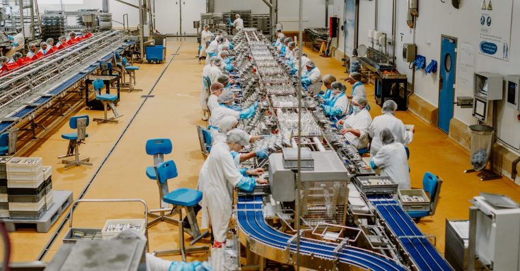 Illustration de l'article ÉDITO. ETI, ces géantes invisibles de l’économie française