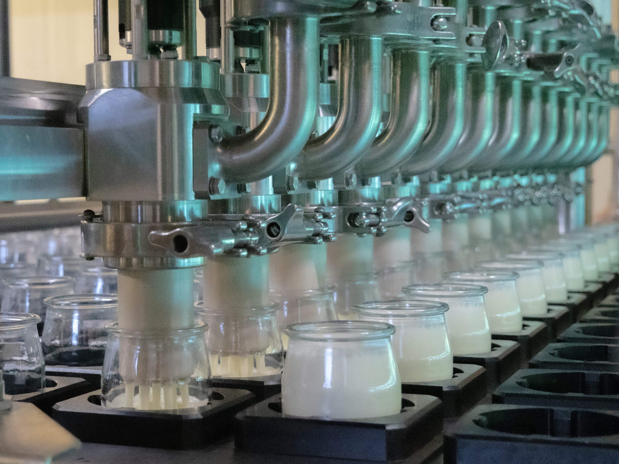 Le pôle laitier représente presque 60% du chiffre d'affaires avec le frais et les ingrédients.