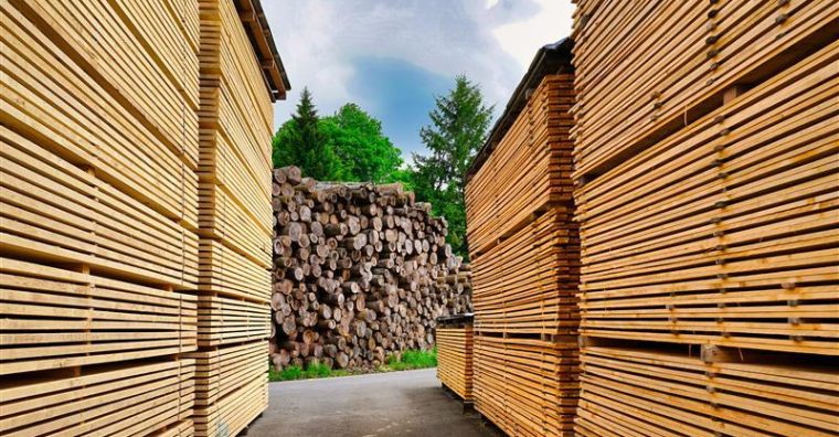 Illustration de l'article La scierie Marcadé ouvre son capital à Breizh Invest PME pour accélérer sa croissance et asseoir ses parts de marché