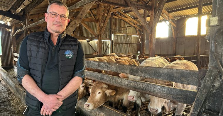 Illustration de l'article Le Morbihan, toujours terre d’élevage