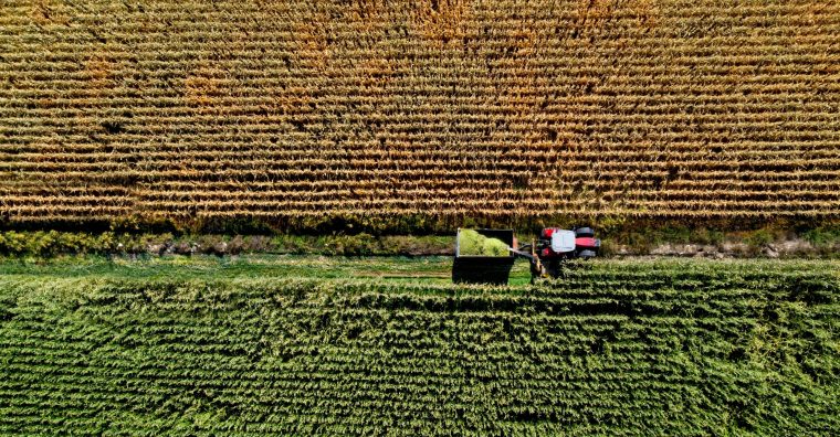 Illustration de l'article Agriculture biologique : Feve et le réseau Fnab lancent un appel à projets en Bretagne