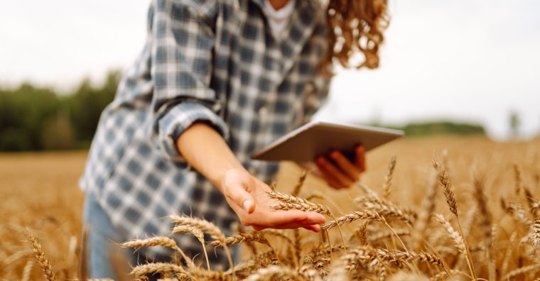 Illustration de l'article Une aide d&rsquo;urgence de 214 000 € pour la filière céréalière en Ille-et-Vilaine
