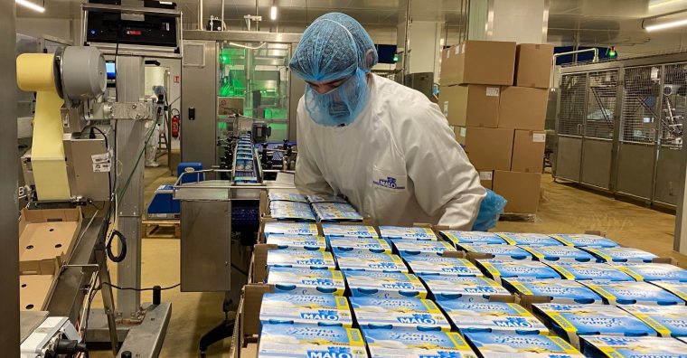 Illustration de l'article La laiterie Malo confirme son succès avec + 17,2 % du volume de ventes début 2026