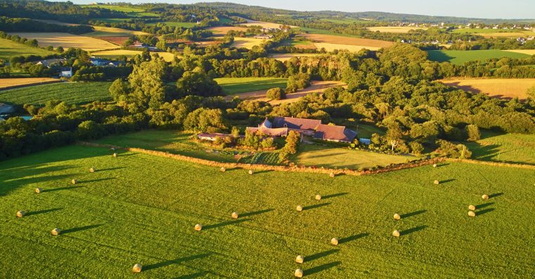 Illustration de l'article Agroalimentaire : la Région Bretagne mobilise 3,5 M€ pour cinq entreprises