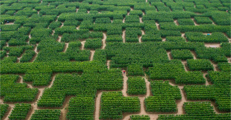 Illustration de l'article L’entreprise vannetaise Pop Corn Labyrinthe veut s’installer en Outre-mer