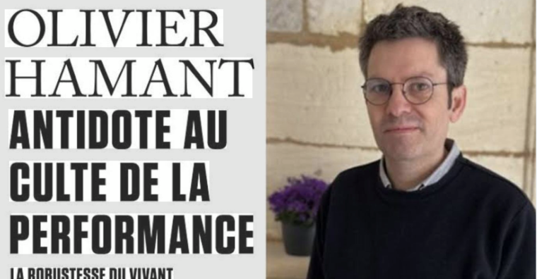 Illustration de l'article AGENDA. Économie : Faut-il opposer la robustesse à la performance ?