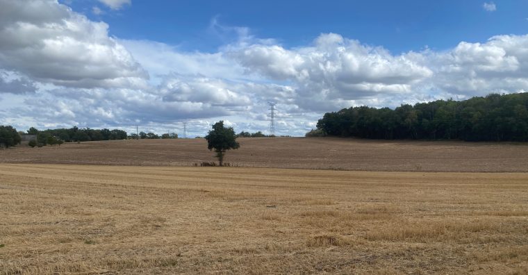 Un véritable appel à la solidarité lancé par la FDSEA du Morbihan
