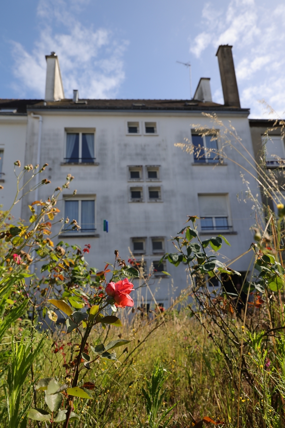 Madé Habitat vient de racheter un immeuble de 200 mètres carrés dans le quartier de Kerentrech à Lorient.