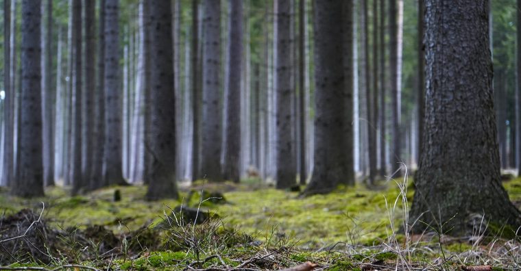 Illustration de l'article Une Journée Nature et Climat avec l’ensemble des acteurs professionnels à Sérent