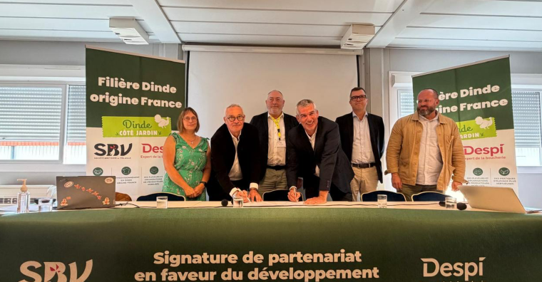 Illustration de l'article Un fonds partenarial d’un million d’euros par an pour la filière dinde