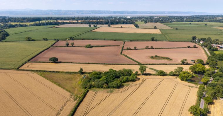 Illustration de l'article AGENDA. Un événement dédié aux métiers de l’agriculture et du vivant en Bretagne