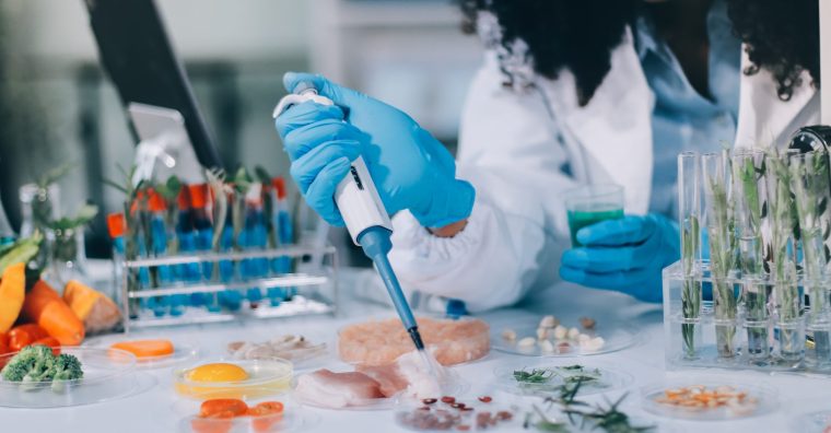 Illustration de l'article AGENDA. Un village des Sciences à Rennes ouvert au grand public les 2 et 5 octobre 2026