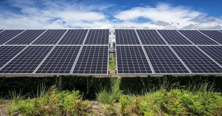 Illustration de l'article AGENDA. La centrale photovoltaïque de Guignen ouvre ses portes au public